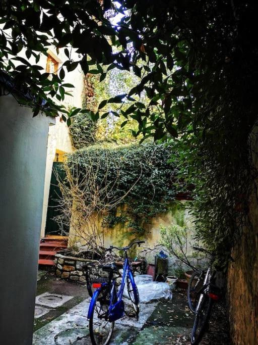 Florentine Style Apartment In San Frediano Firenze Kültér fotó